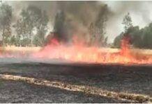 बारां में आग का कहर: एक चिंगारी से खाक हुई खड़ी फसल