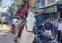 देवास में बैंक कर्मचारी का अनोखा अंदाज, घोड़े पर सवार होकर पहुंचा ऑफिस