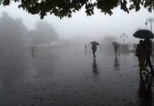 पश्चिमी विक्षोभ का असर: राजस्थान में बारिश से फसलों पर खतरा