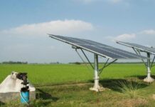 पीएम कुसुम योजना से मध्य प्रदेश में सौर ऊर्जा का विस्तार, किसानों की जमीन पर बनेगी 1000 मेगावाट बिजली