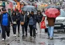 यूपी में मौसम ने दिखाई करवट, कई जिलों में तेज हवाओं के साथ बारिश