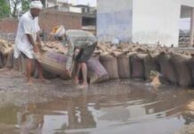 बेमौसम बारिश से किसानों की कमर टूटी, बेगमगंज मंडी में गेहूं हुआ खराब