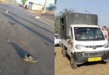 MP में दर्दनाक हादसे: डिंडौरी में ट्रक की चपेट, देवास में कार पेड़ से टकराई, 8 मृत