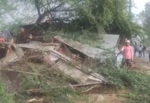 चंदपा में आंधी से पेड़ गिरा, बड़ा हादसा टला