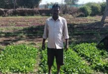 डबरी बनी स्थायी आजीविका का आधार : जल संरक्षण के साथ बढ़ी आय