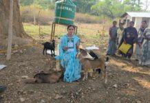 ‘सरगुजा छेरी बैंक’ मॉडल से ग्रामीण महिलाओं को मिल रही आर्थिक आज़ादी की नई राह