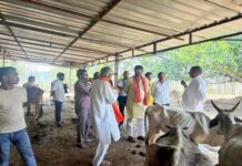 क्षीर धारा अभियान का मुख्य उद्देश्य पशुपालकों की आय में वृद्धि और गोवंश का स्वास्थ्य सुरक्षित रखना है : मंत्री पटेल