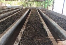 वर्मी कंपोस्ट उत्पादन बनी आत्मनिर्भरता की मिसाल