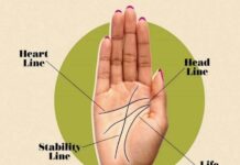 हाथ की रेखाएं और हथेली के आकार से पता चलता है कैसा होगा जीवन