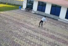 बंदर भगाने की कोशिश बनी जानलेवा, हाईटेंशन तार से टकराया पाइप, जिंदा जला कर्मचारी