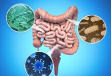 गुड बैक्टीरिया की कमी से हो सकती हैं कई स्वास्थ्य समस्याएं