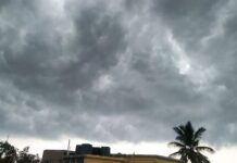 मध्यप्रदेश में मौसम का कहर: ओले गिरने से फसलें बर्बाद, अलर्ट जारी