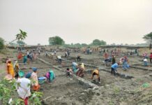 सर्वाधिक परिवारो को रोजगार, सर्वाधिक मानव दिवस का रोजगार सहित सर्वाधिक दिव्यांगजनों को रोजगार देने के मामले में कबीरधाम प्रदेश में प्रथम स्थान पर