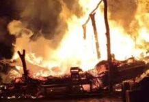 दौसा में झोपड़ी में आग, 7 पशु जिंदा जले; सिलेंडर फटने से युवक घायल