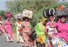 12 से 17 अप्रैल तक चलेगी उज्जैन की ऐतिहासिक पंचकोशी यात्रा