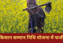 पीएम किसान योजना में महाघोटाला, मृतकों के खातों में पहुंचा पैसा