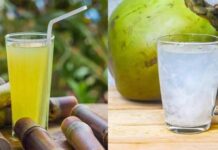गर्मियों के 3 अनमोल रत्न: नींबू, गन्ना और नारियल; आपकी सेहत के लिए किसका पलड़ा भारी?