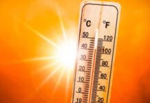 IMD का अलर्ट: झारखंड में हीटवेव की दस्तक, रांची समेत इन इलाकों में चलेगी भीषण लू।