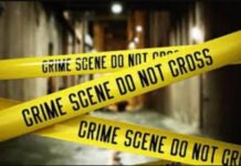 दिल दहला देने वाली घटना, बेजुबान जानवर के साथ क्रूरता का आरोप