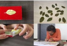 नीमच के कलाकार का कमाल, तुलसी पत्तों पर लिखी हनुमान चालीसा