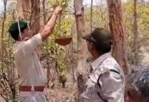 वन विभाग में बड़ा फेरबदल, चार IFS अधिकारियों के तबादले