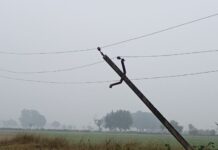 बिजली संकट: पोल टूटने से गौरेला-पेंड्रा-मरवाही में सप्लाई ठप, जनजीवन प्रभावित