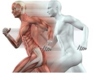 Health Tips: पाचन तंत्र को लोहे जैसा मजबूत बना देगा 30/30/3 नियम, आज ही करें ट्राई।