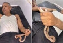 डॉक्टर भी रह गए हैरान, तुरंत शुरू किया इलाज और पहचान की प्रक्रिया