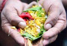 वैशाख अमावस्या पर करें ये अचूक उपाय, पितृ दोष से मिलेगी मुक्ति