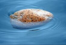 हैदराबाद का चमत्कार: 800 साल पुराने मंदिर में पानी पर तैर रहा है भारी-भरकम पत्थर