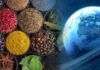 औषधि स्नान ग्रहों के दुष्प्रभाव को कम करें