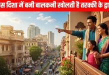 बालकनी की सही दिशा चमका सकती है आपका करियर, लेकिन इन पौधों को रखने की गलती पड़ेगी भारी!