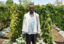 सफलता की इबारत: वाटरशेड योजना ने बदली किसान छबी लाल की तकदीर