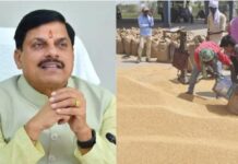 किसानों के लिए राहत: गेहूं खरीदी की तारीख 28 मई तक बढ़ी