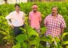 धमतरी में रेशम की चमक: ‘सिल्क समग्र-2’ से संवर रही ग्रामीणों की तकदीर, किसान बन रहे आत्मनिर्भर