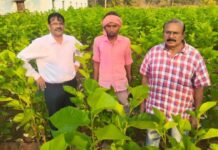 धमतरी में रेशम की चमक: ‘सिल्क समग्र-2’ से संवर रही ग्रामीणों की तकदीर, किसान बन रहे आत्मनिर्भर
