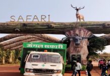 प्रशासनिक कारणों से दो दिन के लिए बंद की गई जंगल सफारी
