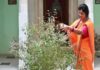 मलमास में तुलसी पूजा का खास महत्व, इन उपायों से दूर होंगे ग्रह दोष, बढ़ेगी सुख-समृद्धि