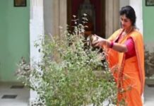 मलमास में तुलसी पूजा का खास महत्व, इन उपायों से दूर होंगे ग्रह दोष, बढ़ेगी सुख-समृद्धि