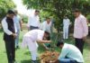 देवनानी ने गंगा दशहरा पर विधान सभा उद्यान में लगाया कल्पवृक्ष