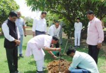 देवनानी ने गंगा दशहरा पर विधान सभा उद्यान में लगाया कल्पवृक्ष