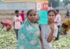 हरा सोना’ बना समृद्धि का आधार : तेंदूपत्ता खरीदी की बढ़ी दर ने संग्राहकों का बढ़ाया उत्साह व भरोसा, हर फड़ पर रौनक