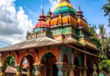 जगन्नाथ पुरी मंदिर तो खूब गए होंगे लेकिन यहां साल भर होती है मां की पीठ की पूजा, केवल एक बार होते हैं दुर्लभ मुख के दर्शन