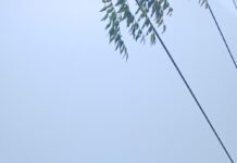 एमपी ट्रांसको ने सुरक्षित दूरी सुनिश्चित कर मानव जीवन को जोखिम से बचाया