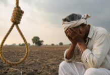 खेती पर बढ़ता संकट: NCRB के आंकड़ों में किसान और कृषि मजदूरों की दर्दनाक तस्वीर