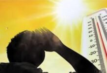 मध्य प्रदेश में तापमान 45 डिग्री के पार, कई जिलों में हीट वेव की चेतावनी; बारिश ने बढ़ाई किसानों की चिंता