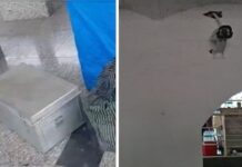 UP के रेलवे स्टेशन पर मिला युवती के शव का खौफनाक राज, CCTV जांच में बड़ा खुलासा