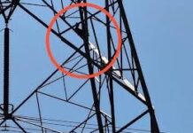 युवक को उतारने जबलपुर से पहुंची रेस्क्यू टीम, बिजली लाइनें बंद