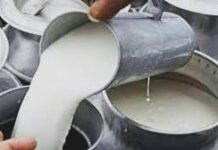 दूध, दही और छाछ महंगे, सीकर-झुंझुनू के लोग रहेंगे महंगाई की मार में