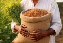 चना खरीद अब 24 जून तक, राजस्थान सरकार ने दी किसानों को सुविधा